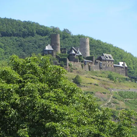 Апартаменты Roter Wingert Kattenes