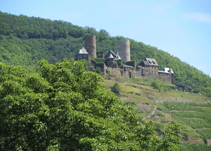 公寓 Roter Wingert Kattenes